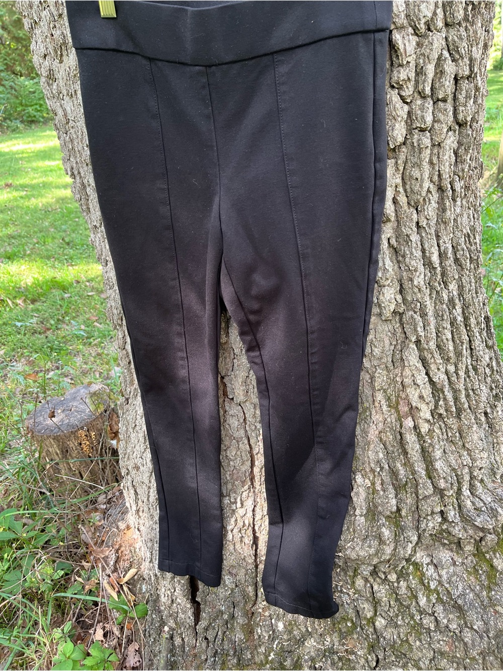 ⭐️Anne Klein Skinny Pant in size S